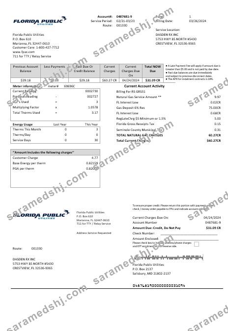 USA Florida Public Utilities business utility bill template in Word and PDF formats